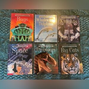 Usborne Discovery Internet Book